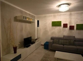 Immagine Sandri Fulvio Pitture Decorative