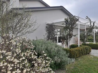 Immagine Sandri Fulvio Pitture Decorative